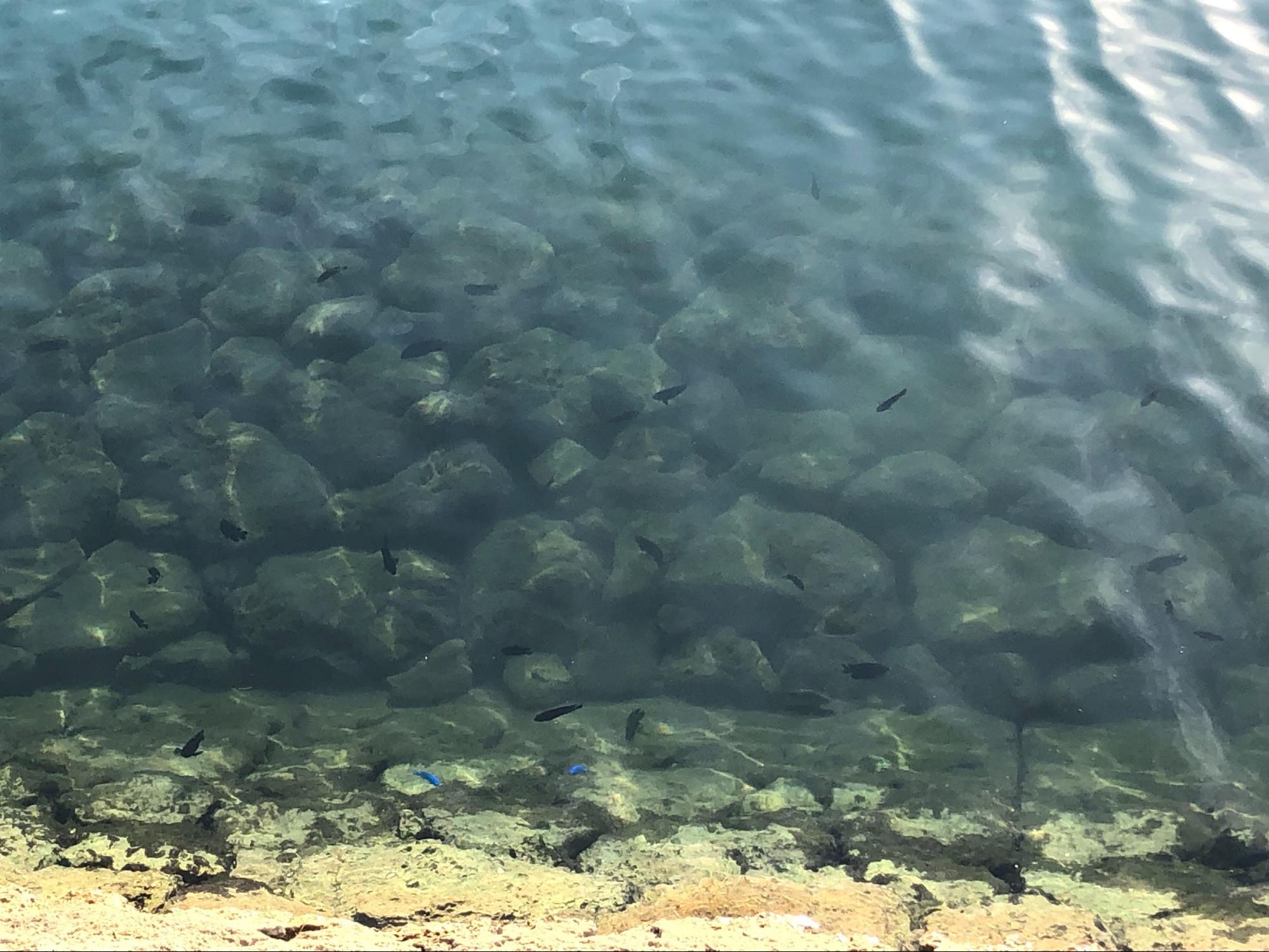 オフィスにいなくてもコンサルタントできる！「ワーケーション」in 沖縄